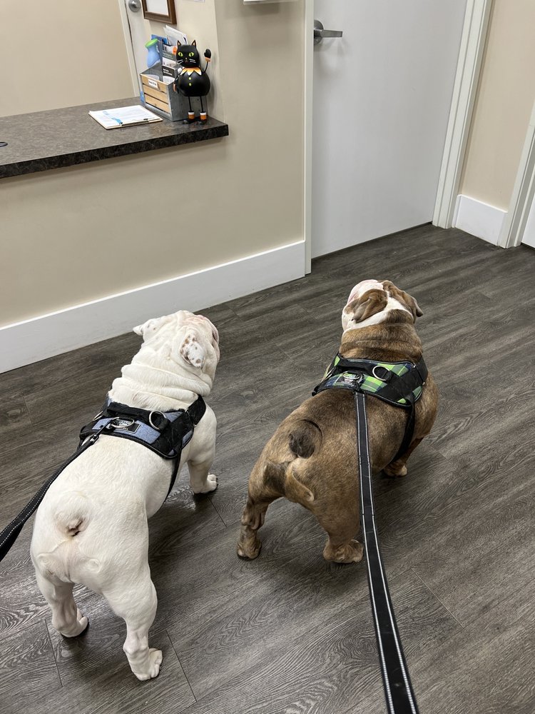 CRANBERRY VETERINARY HOSPITAL Updated September 2024 14 Photos & 12