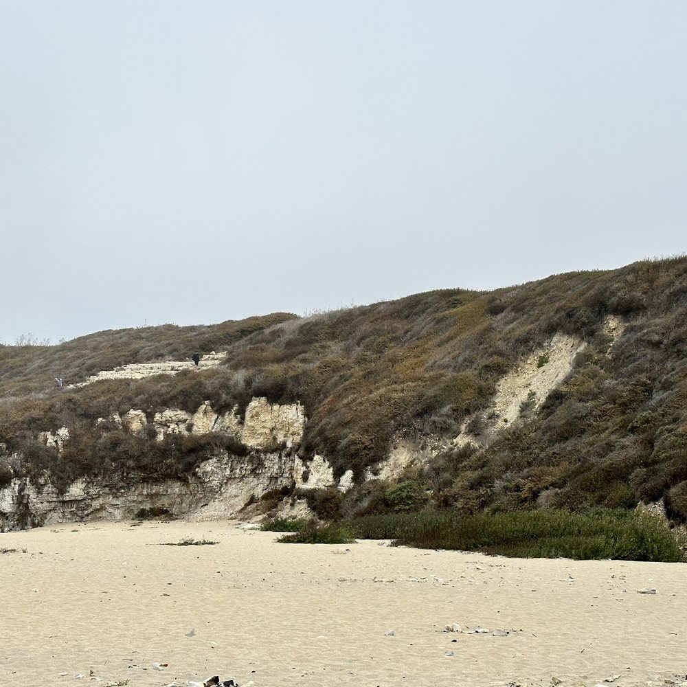 Bonny Doon Beach - Beaches Near Me - Santa Cruz, California