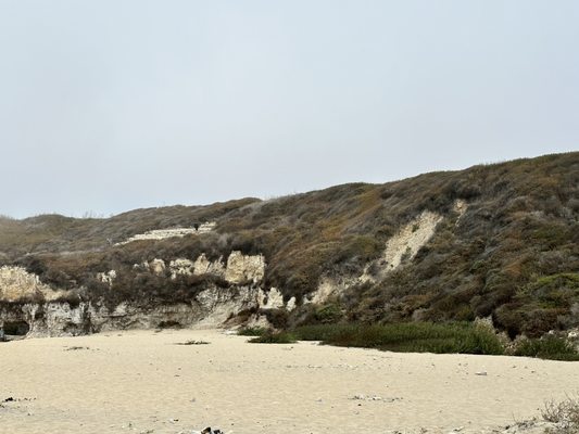 BONNY DOON BEACH - Updated October 2025 - 365 Photos & 80 Reviews - Hwy