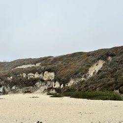 Bonny Doon Beach