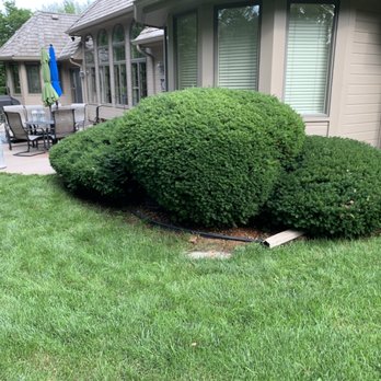 Hill Property Management - After Trimming - Lawn Services Near Me