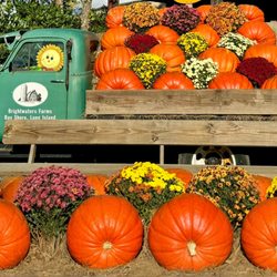 Brightwaters Farms - Pumpkin and Mums