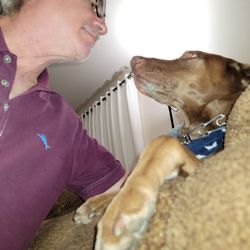 Mora Daniel, DVM - Loyal Best Friend!