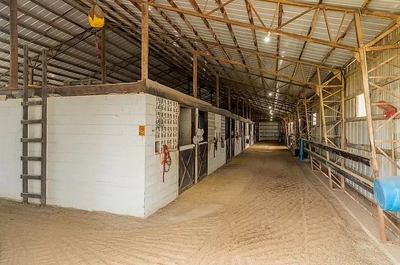Green Valley Stables - equestrian in Republic, MO