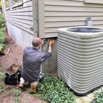 proof. Pest Control - Pest Control Near Me - Marlborough, Massachusetts