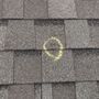 Photo of Texas Hammer Roofing