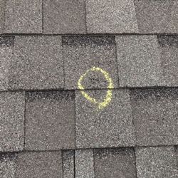 Texas Hammer Roofing - 2in Hail Hit. Granular have been knocked off.