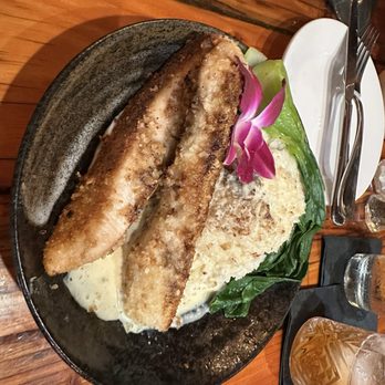 Stonefish Grill - Mac Nut Crusted Fish - Seafood Near Me - Haleiwa, Hawaii Stonefish Grill - Mac Nut Crusted Fish - Seafood Near Me - Haleiwa, Hawaii