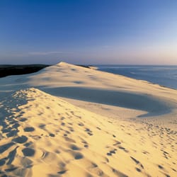 Dune du Pilat - Dune du pilat
