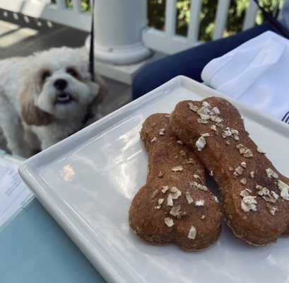 Lingering Shade Social Club by null