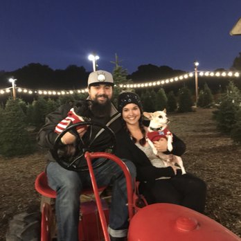 Alhambra Christmas Tree Farm - Christmas Trees Near Me - Martinez, California
