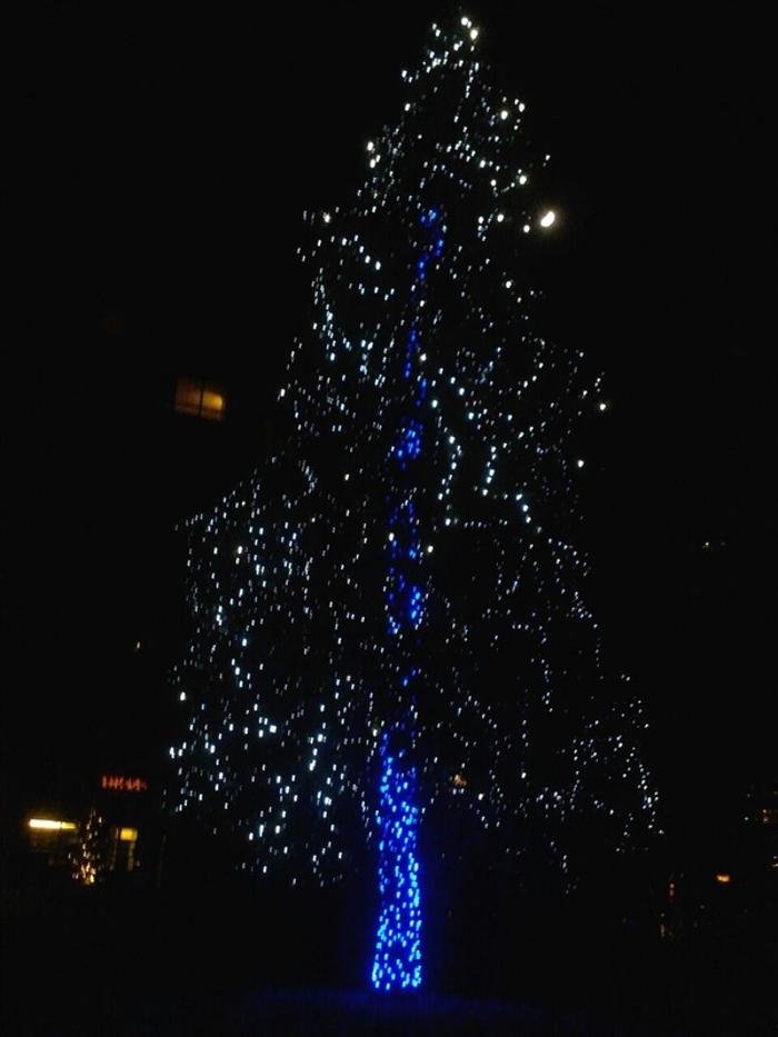 Wright Tree, Lawn and Landscape Care - tree service in Colorado Springs, CO