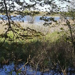 River Bluff Park