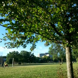 Rennebohm Park - Lots of open space
