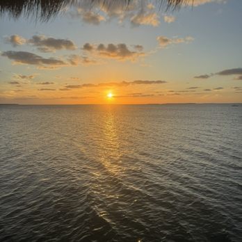 Marker 88 - Sunset - Seafood Near Me - Islamorada, Florida Marker 88 - Sunset - Seafood Near Me - Islamorada, Florida