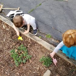 Little Stars Child care - Learning.