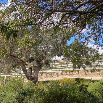 Cass Winery - Wineries Near Me - Paso Robles, California