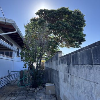 Espitia’s Tree Service - Tree Services Near Me