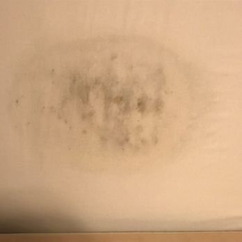 Sit 'n Sleep - mildew on mattress sit n sleep says it our fault but mattress only 14 months old. Mattress came with moistures in it. - Mattresses Near Me - Palmdale, California Sit 'n Sleep - mildew on mattress sit n sleep says it our fault but mattress only 14 months old. Mattress came with moistures in it. - Mattresses Near Me - Palmdale, California