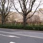 Photo of IG Farben Haus