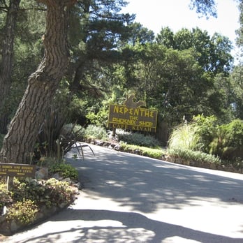 Nepenthe - New American Near Me - Big Sur, California