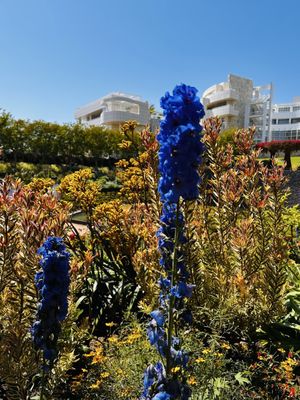 The Getty by null