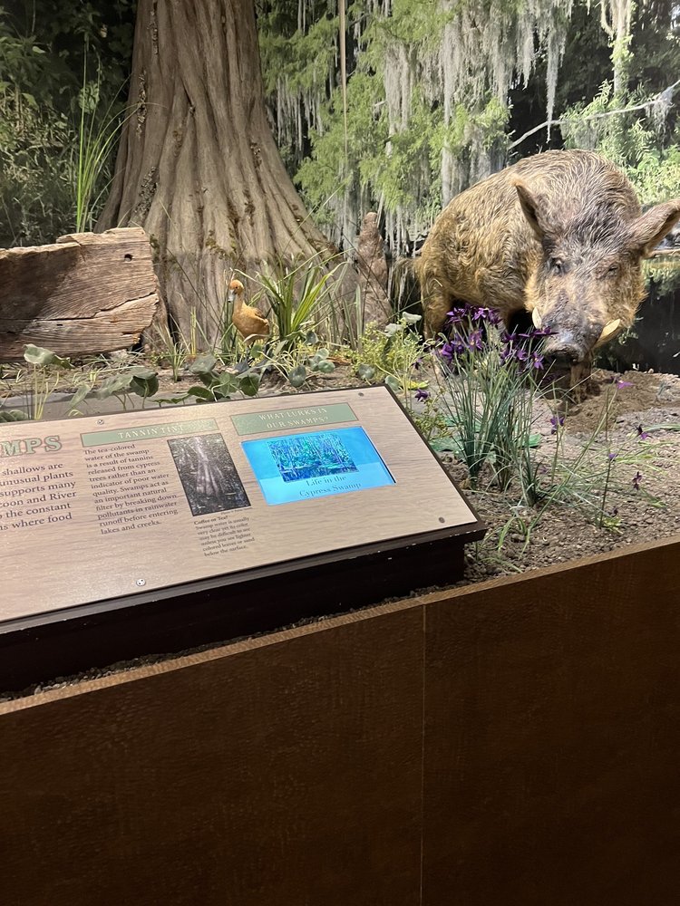 OSCEOLA COUNTY CENTER AND HISTORY MUSEUM 33 Photos 4155 W Vine St, Kissimmee