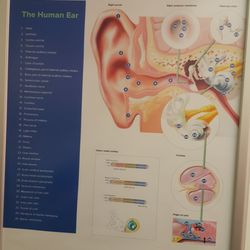 HearingLife - Diagram on the wall