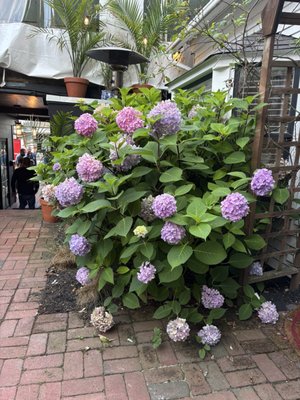 Helltown Kitchen by null