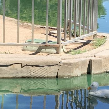 Apollo Community Regional Park - Nice - Parks Near Me - Lancaster, California Apollo Community Regional Park - Nice - Parks Near Me - Lancaster, California