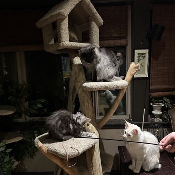 REBER RANCH - Updated November 2024 - 126 Photos & 203 Reviews - 28606 ...