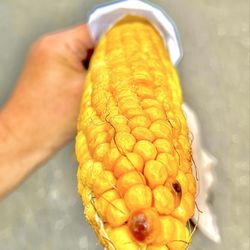 Washington State Fair - Corn on Da Cob
