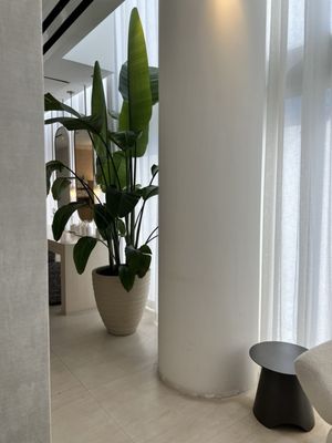AWAY Spa by null