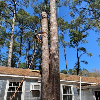 C & B Tree Service - Tree Services Near Me - Lufkin, Texas