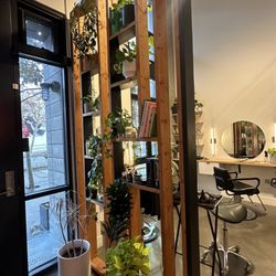 Salon Hearth