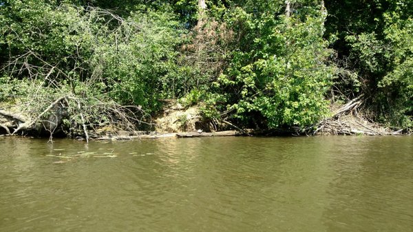Kayak Pittsburgh North Park by null