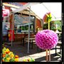 Photo of Stehcafe