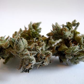 Sparc - Jack Herer from SPARC - Cannabis Clinics Near Me - San Francisco, California Sparc - Jack Herer from SPARC - Cannabis Clinics Near Me - San Francisco, California