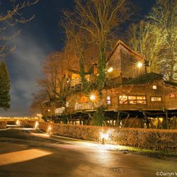 Treehouse Restaurant - External view of the Treehouse