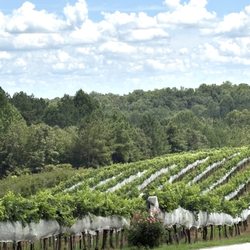 Overmountain Vineyards