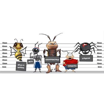 Bug Stop Services - Line up of the usual suspects! Let us help you keep off your home. - Pest Control Near Me Bug Stop Services - Line up of the usual suspects! Let us help you keep off your home. - Pest Control Near Me
