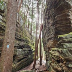 Paws & Unwind - Buckeye Trail just steps from our cabins!