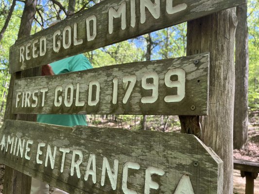 Reed Gold Mine by null