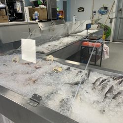 Blue Ocean Fish Market - Fish display November 2025