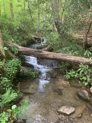Deep Creek Trail Trailhead by null