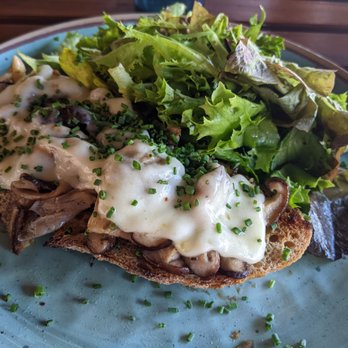 smallSUGAR - Mushroom tartine with side salad - Coffee & Tea Near Me - Columbia, South Carolina smallSUGAR - Mushroom tartine with side salad - Coffee & Tea Near Me - Columbia, South Carolina