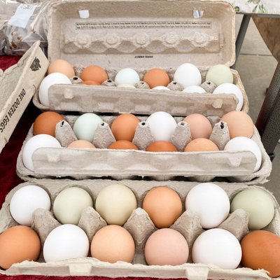 South End Farmers Market by null