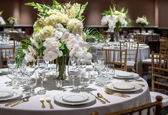 Graduate by Hilton Fayetteville, AR by null