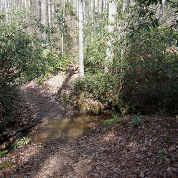 Gorges State Park - Rainbow Falls trail - Parks Near Me - Sapphire, North Carolina Gorges State Park - Rainbow Falls trail - Parks Near Me - Sapphire, North Carolina