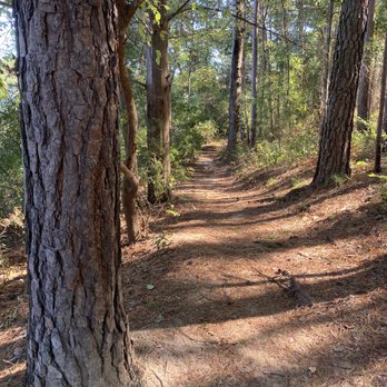 Tyler State Park - Parks Near Me - Tyler, Texas Tyler State Park - Parks Near Me - Tyler, Texas